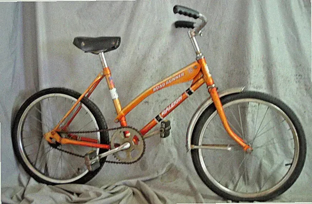 1980 Raleigh Road Runner 20" Kids Bike Single Speed SS Coaster Rigid