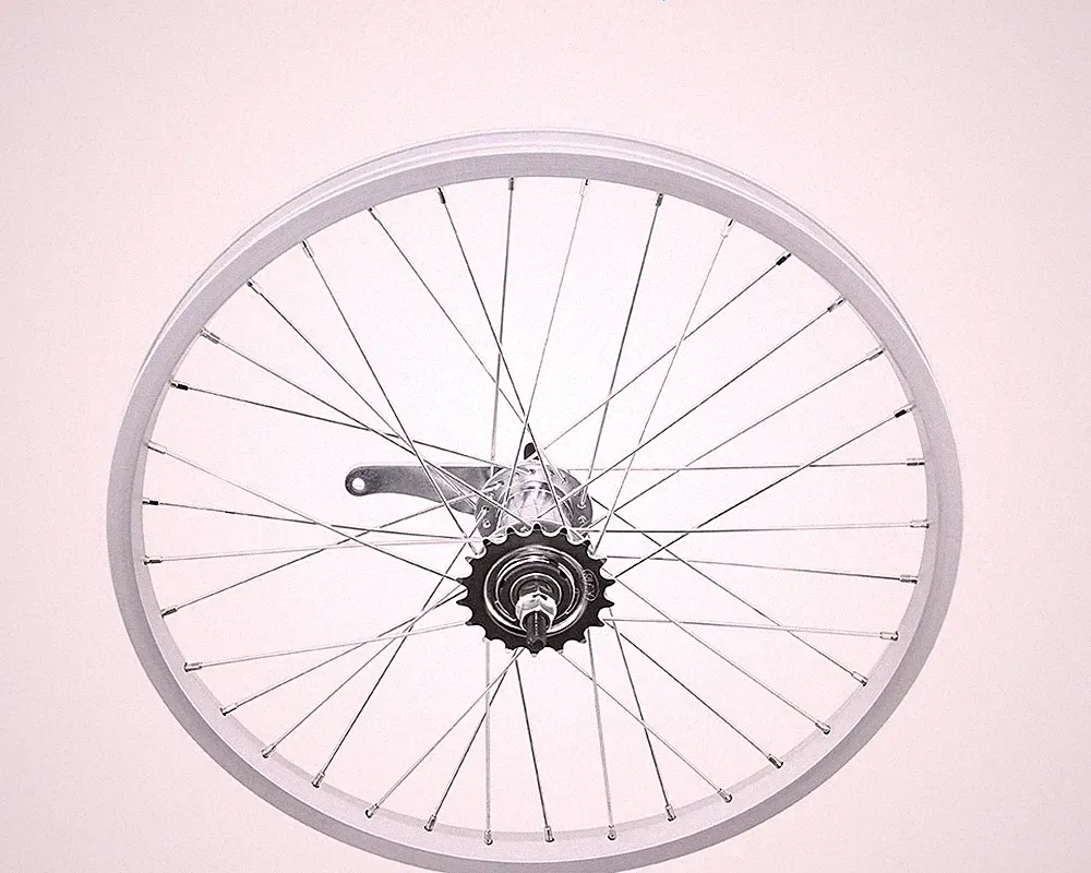 20” Alloy Durable Coaster Bicycle Wheel–36 Spoke 14G Chrome 25mm Single Wall Rim