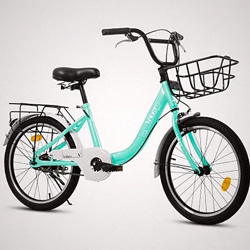 20in Children's Bicycle 1-Speed Coaster Brake V-Brake Rear Rack Kids Bike