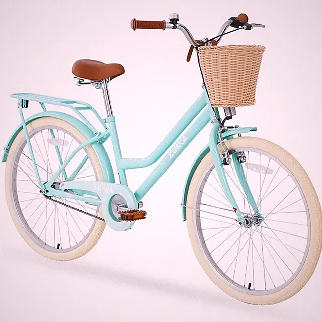 24" Girls Bike for 10+ Years Old, Steel Frame, Mint Green, Front & Coaster Brake