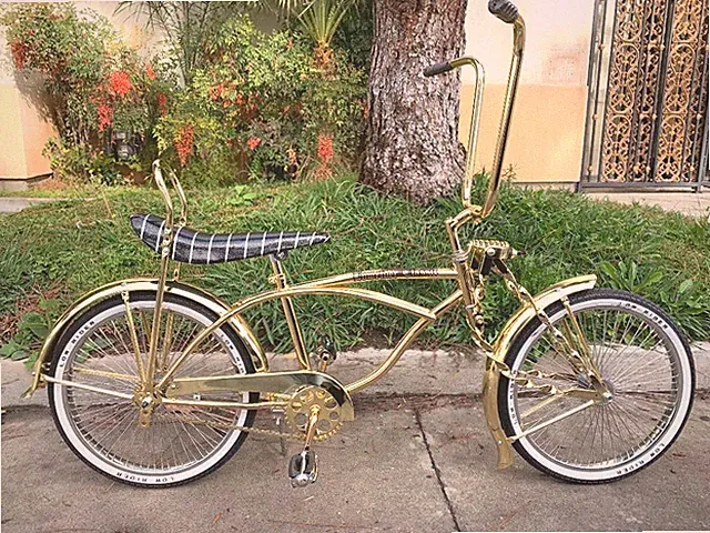 GOLD 20" Cruiser Lowrider Bike 72 Spokes Coaster Brake Twisted Fork New