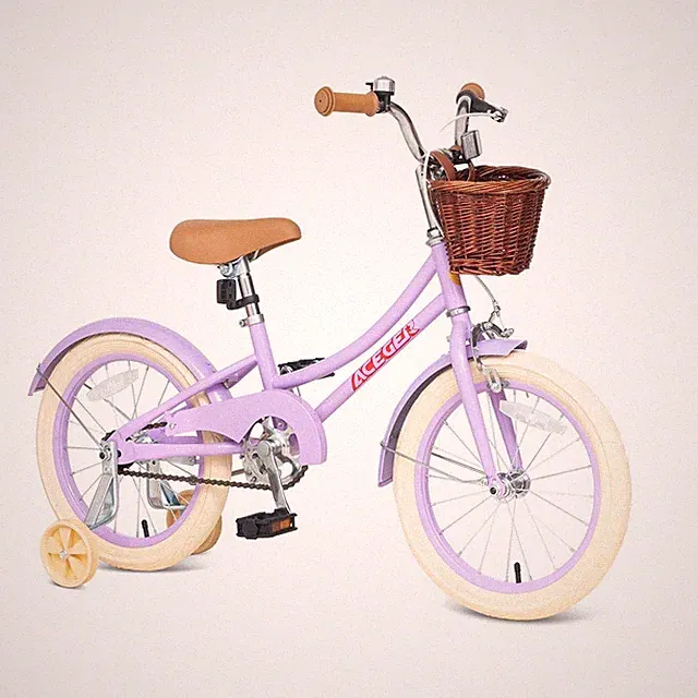 Kids Bike 18 Inch Coaster Brake Training Wheels Purple ACEGER 3-13 Girls Basket