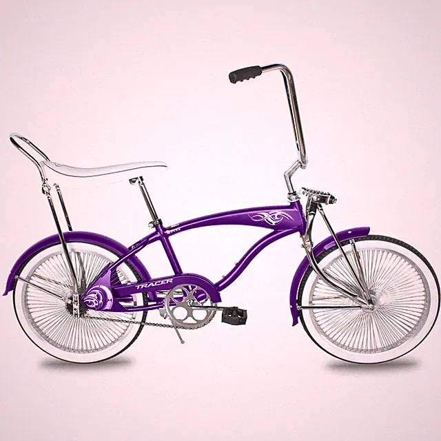 Purple 20'' Cruiser Lowrider Bike 140 Spokes Coaster Brake Banana Seat 1 Speed