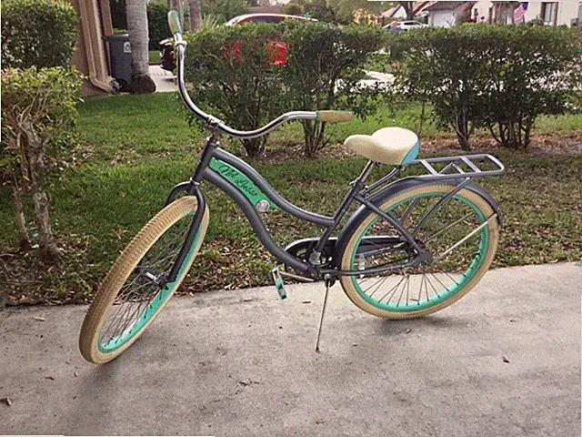 regular bike for teens, teal, slightly used, seat on back, seat has springs