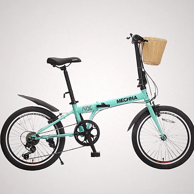 ZUKKA 20Inch Folding Bike, 6 Speed, with Basket, Phone Holder & Fenders Green